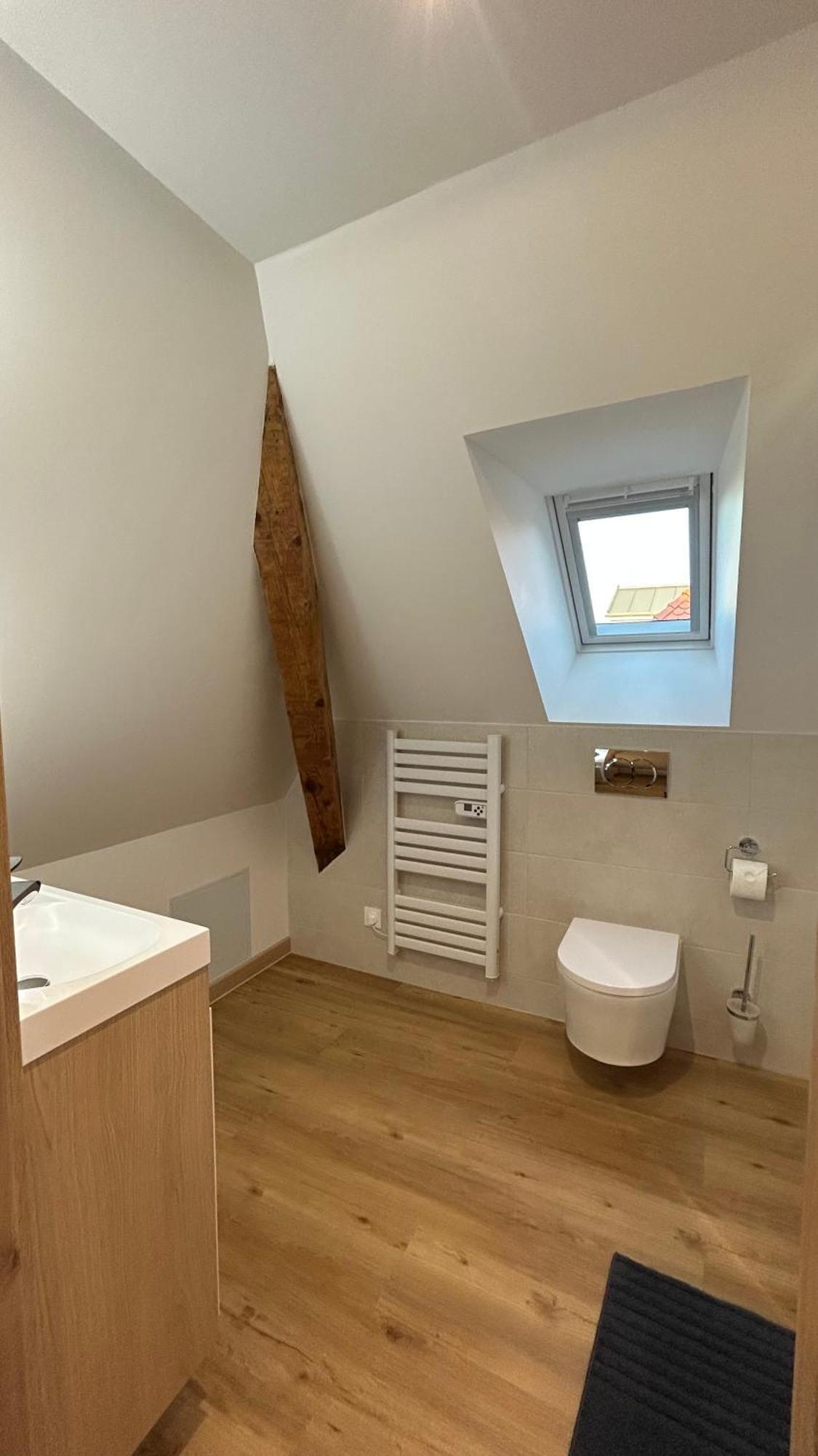 Appartement Moderne Et Spacieux, A 10 Min De La Gare Colmar Esterno foto