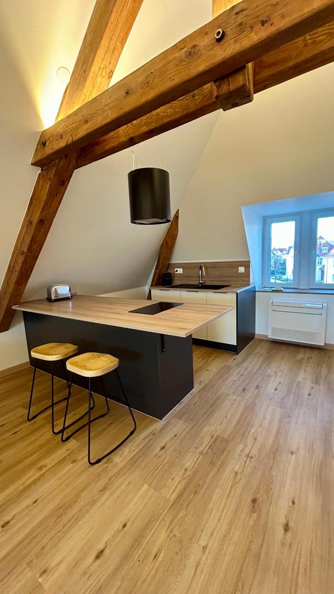 Appartement Moderne Et Spacieux, A 10 Min De La Gare Colmar Esterno foto
