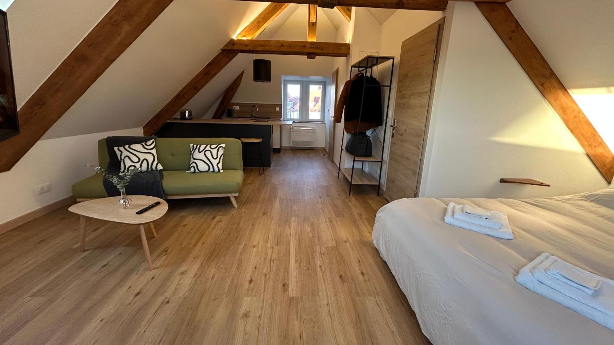 Appartement Moderne Et Spacieux, A 10 Min De La Gare Colmar Esterno foto