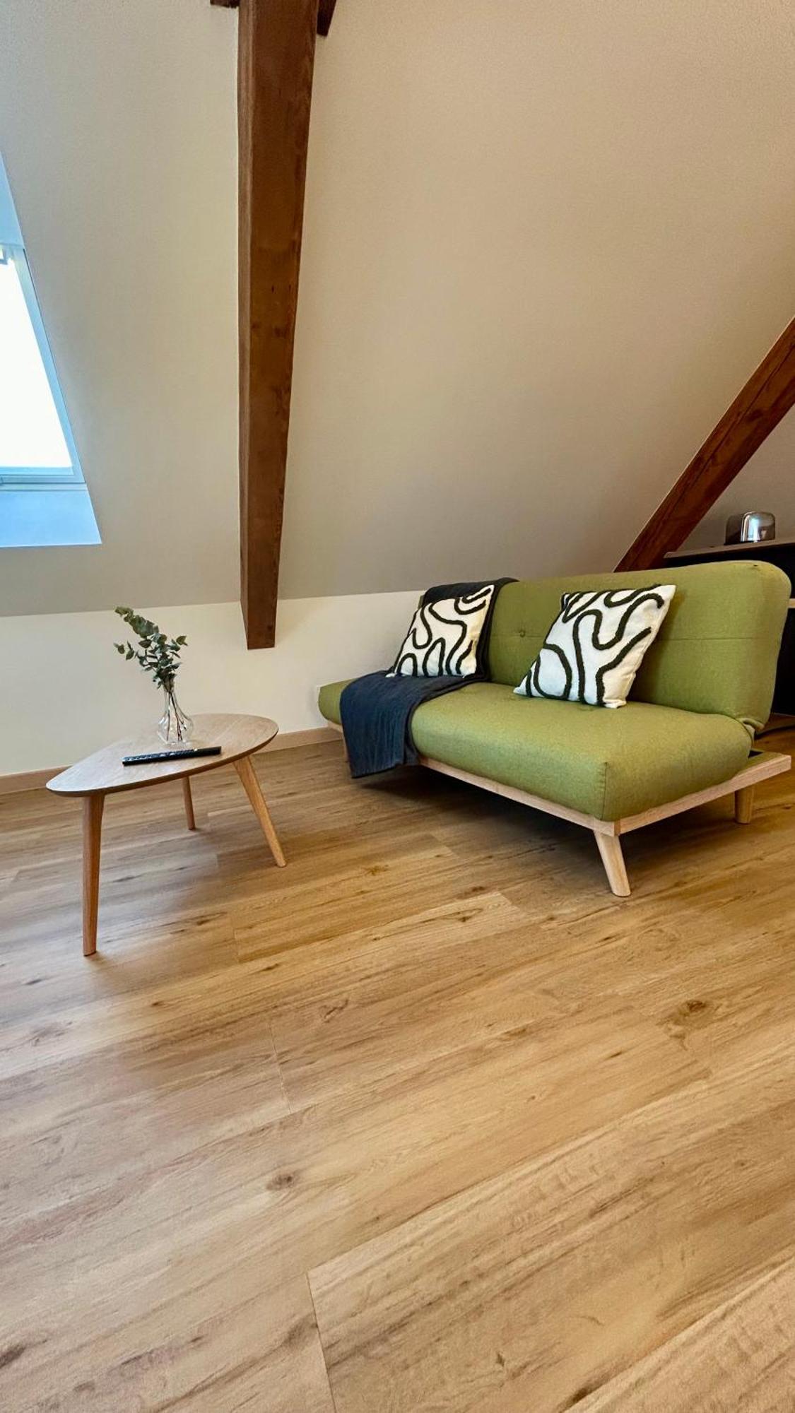 Appartement Moderne Et Spacieux, A 10 Min De La Gare Colmar Esterno foto